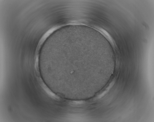 X0000113551196200910161427