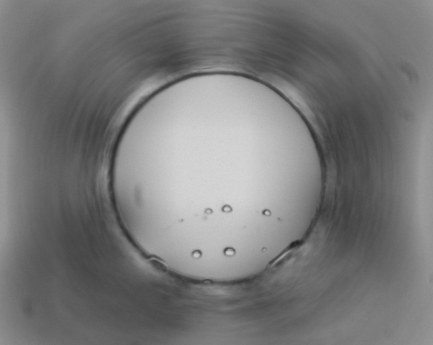 X0000113551197200910161427