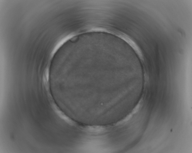X0000113551198200910161427