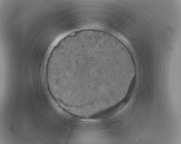 X0000113551200200910161427