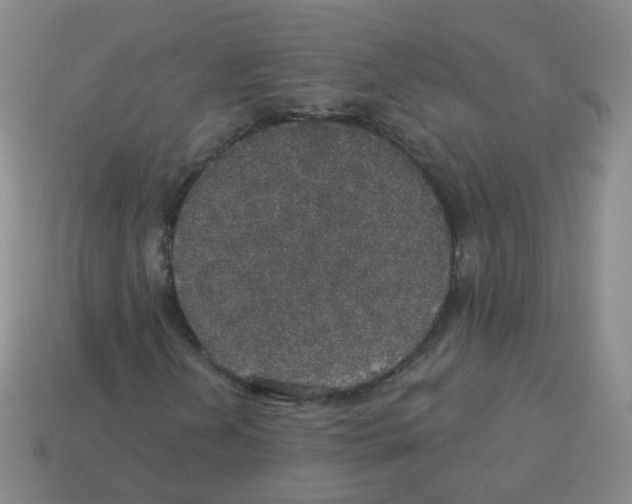 X0000113551202200910161426
