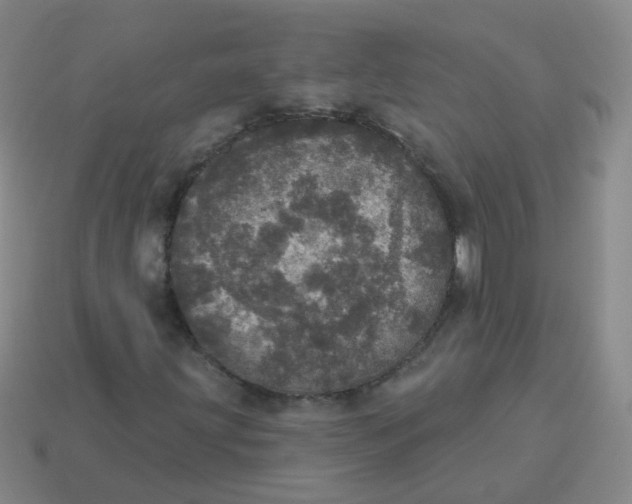 X0000113551203200910161426