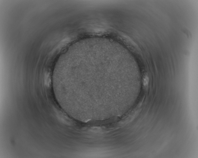 X0000113551204200910161426