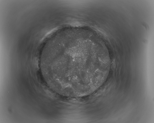 X0000113551205200910161426