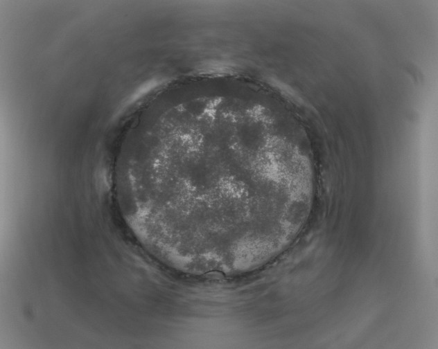 X0000113551206200910161426