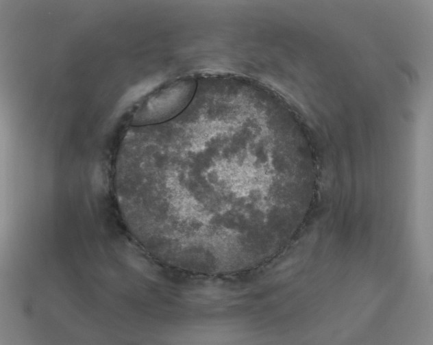 X0000113551207200910161426