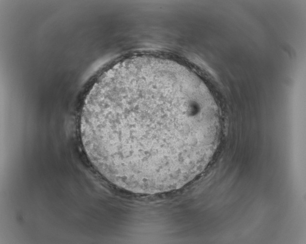 X0000113551208200910161426