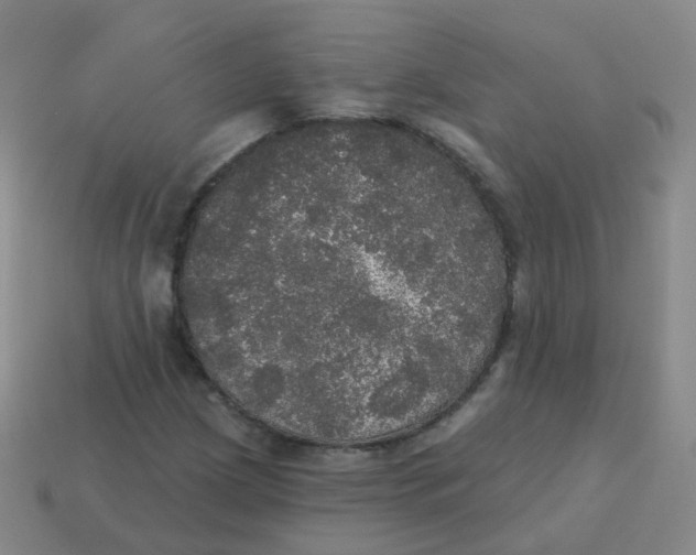 X0000113551209200910161426