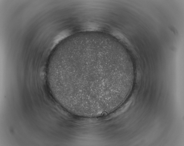 X0000113551210200910161426
