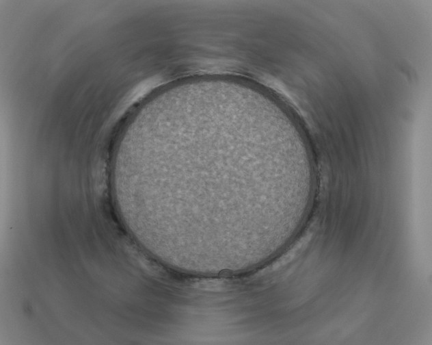X0000113551211200910161426