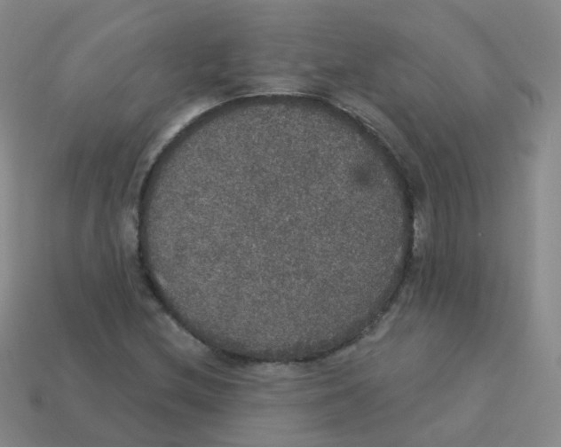 X0000113551212200910161426