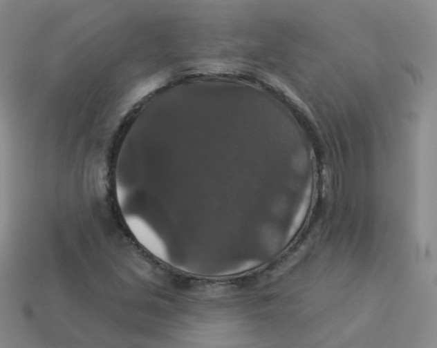 X0000113551213200910161427