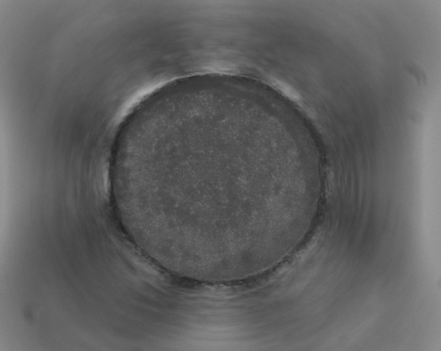 X0000113551214200910161427