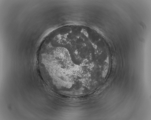 X0000113551215200910161427