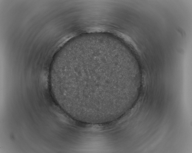 X0000113551217200910161427