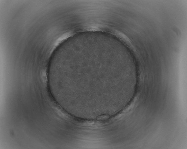 X0000113551218200910161427