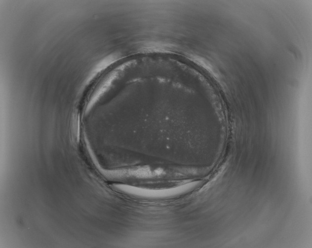 X0000113551219200910161427