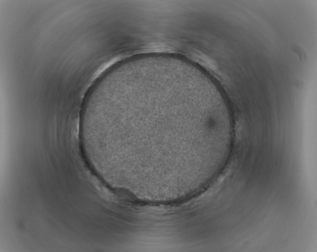 X0000113551220200910161427