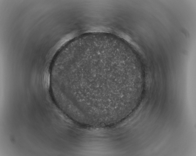 X0000113551221200910161427