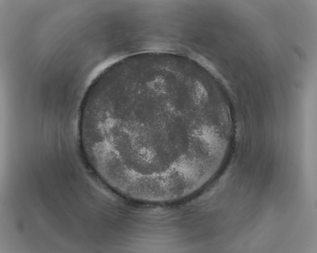 X0000113551222200910161427
