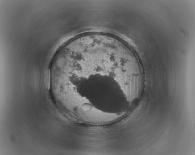 X0000113551223200910161427