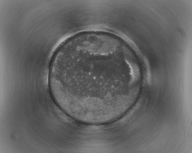 X0000113551224200910161427