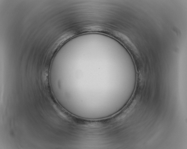 X0000113551225200910161427