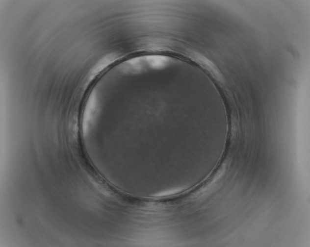 X0000113551226200910161427