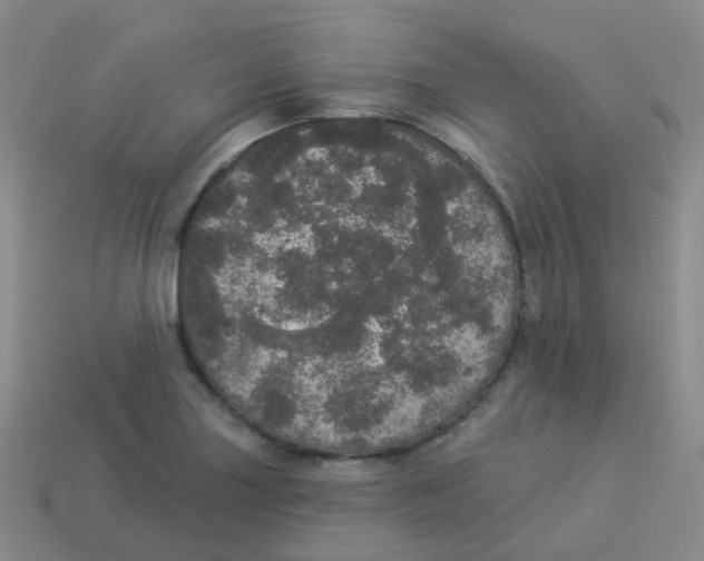 X0000113551227200910161427