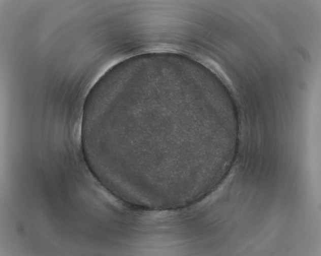 X0000113551228200910161427