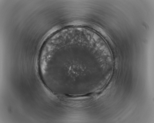 X0000113551229200910161427