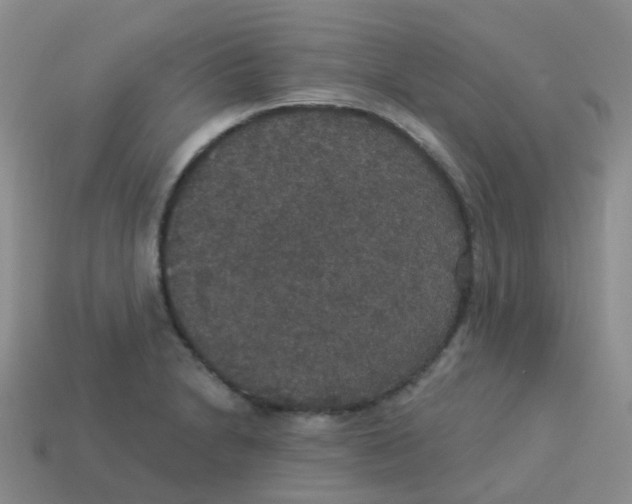X0000113551230200910161427