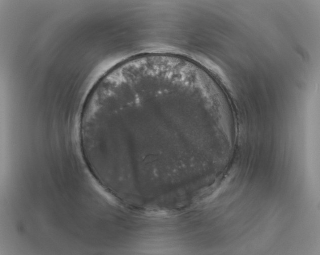 X0000113551231200910161427