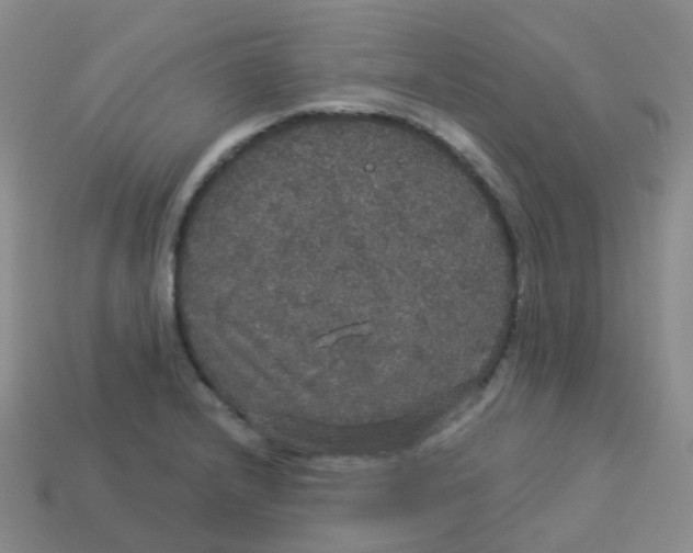 X0000113551232200910161427