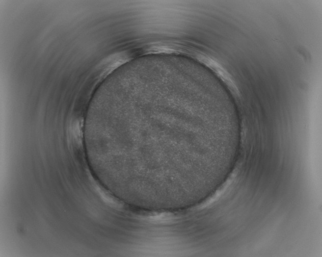 X0000113551233200910161427
