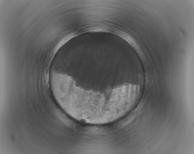 X0000113551234200910161427