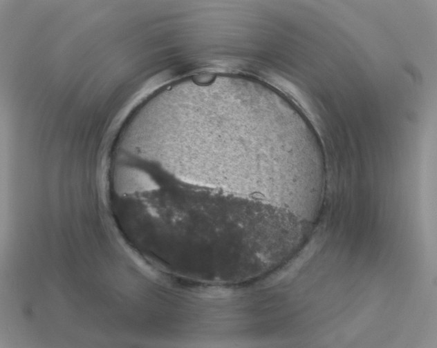 X0000113551235200910161427
