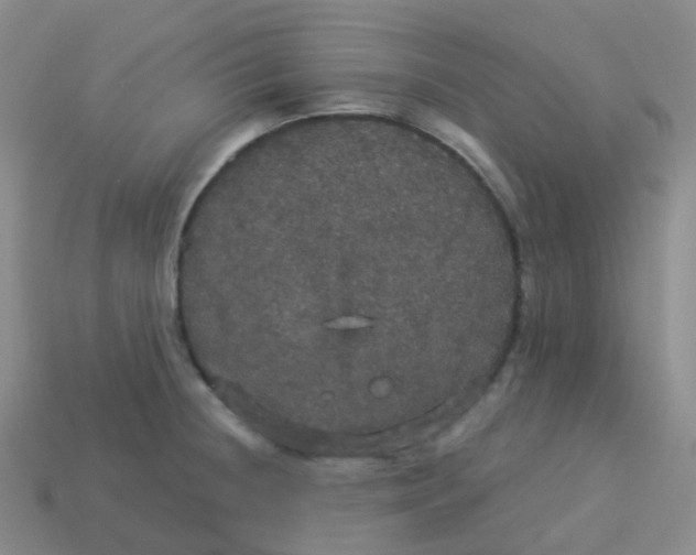 X0000113551236200910161427