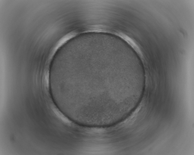 X0000113551238200910161427