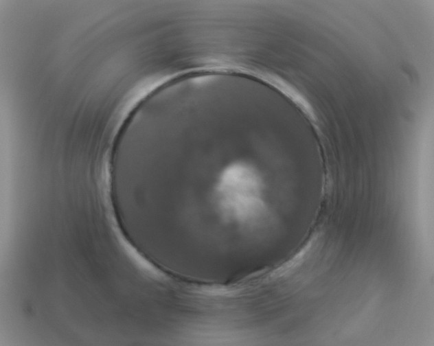 X0000113551239200910161427
