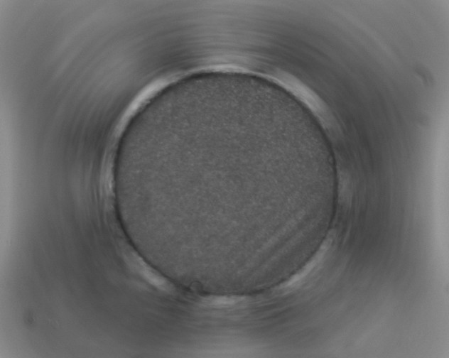 X0000113551240200910161427