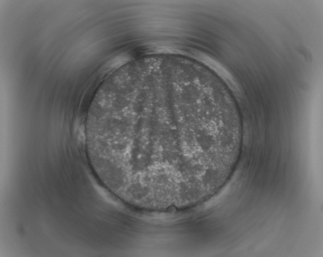 X0000113551241200910161427