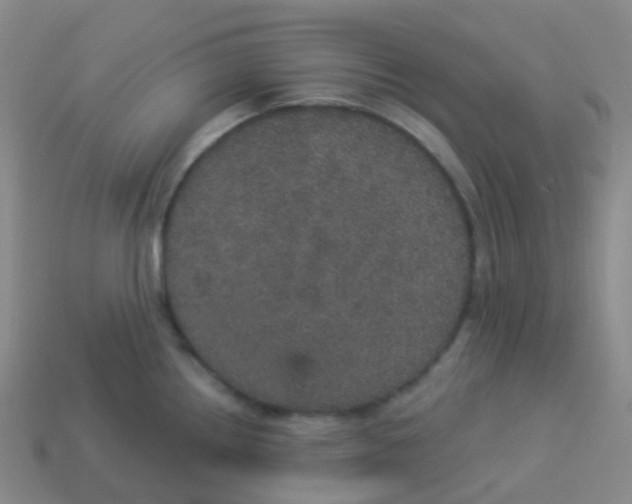 X0000113551242200910161427