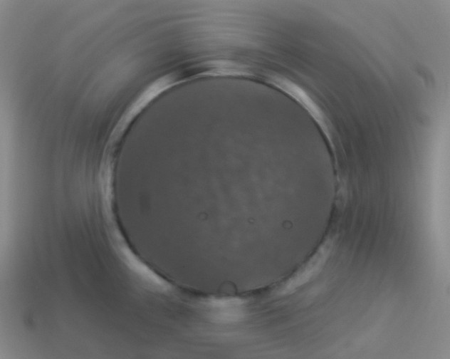 X0000113551243200910161427