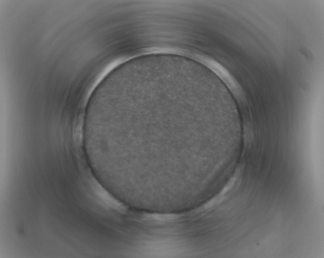 X0000113551244200910161427