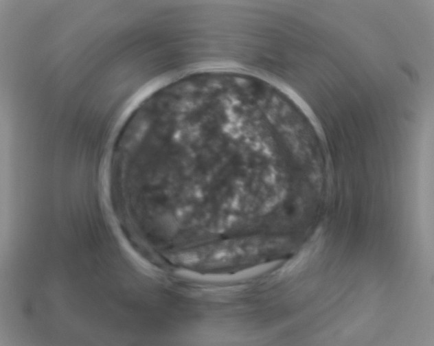 X0000113551245200910161427