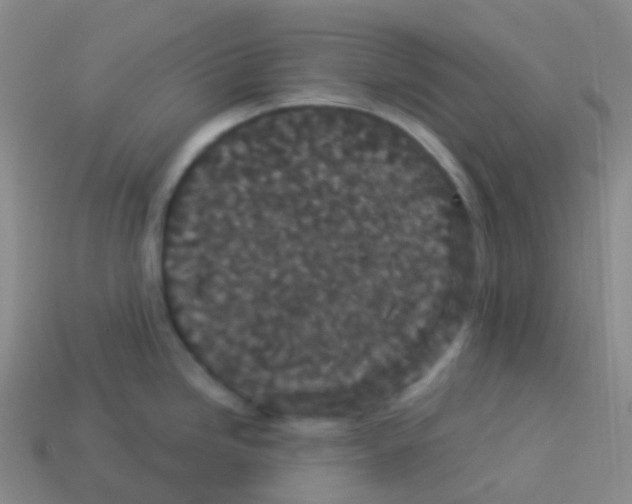 X0000113551246200910161427
