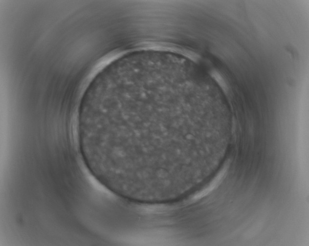 X0000113551247200910161427
