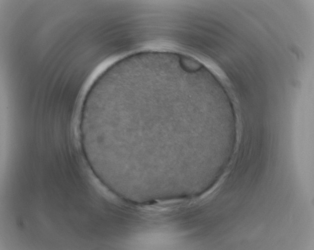 X0000113551248200910161427