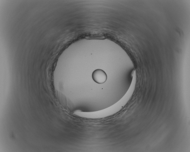 X0000113551249200910161426